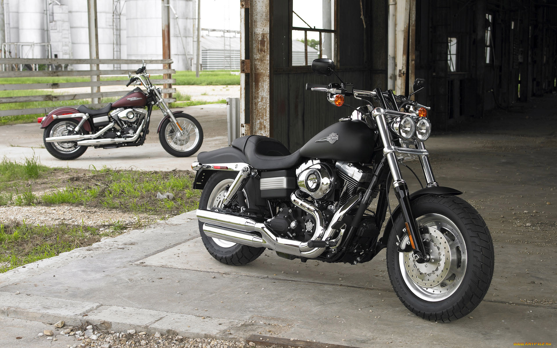 , harley, davidson